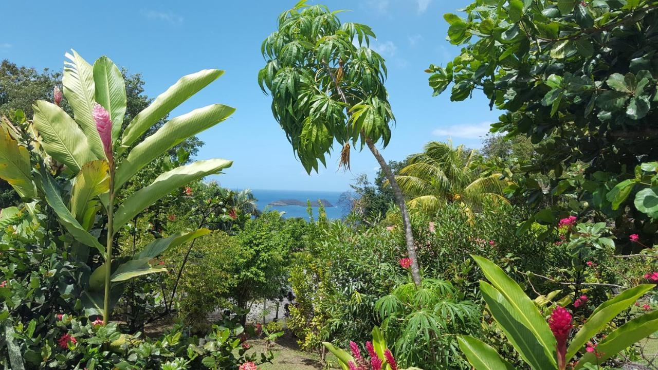 Vacances Bien Etre Guadeloupe Bouillante Exteriér fotografie