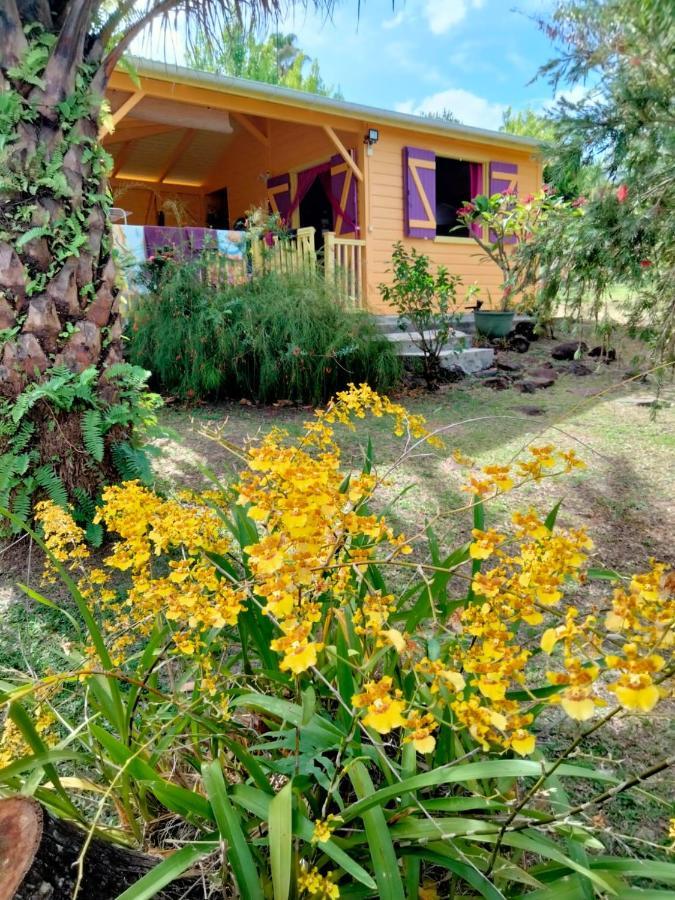 Vacances Bien Etre Guadeloupe Bouillante Exteriér fotografie