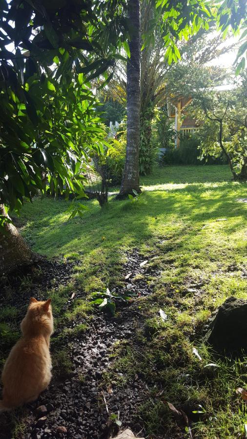 Vacances Bien Etre Guadeloupe Bouillante Exteriér fotografie