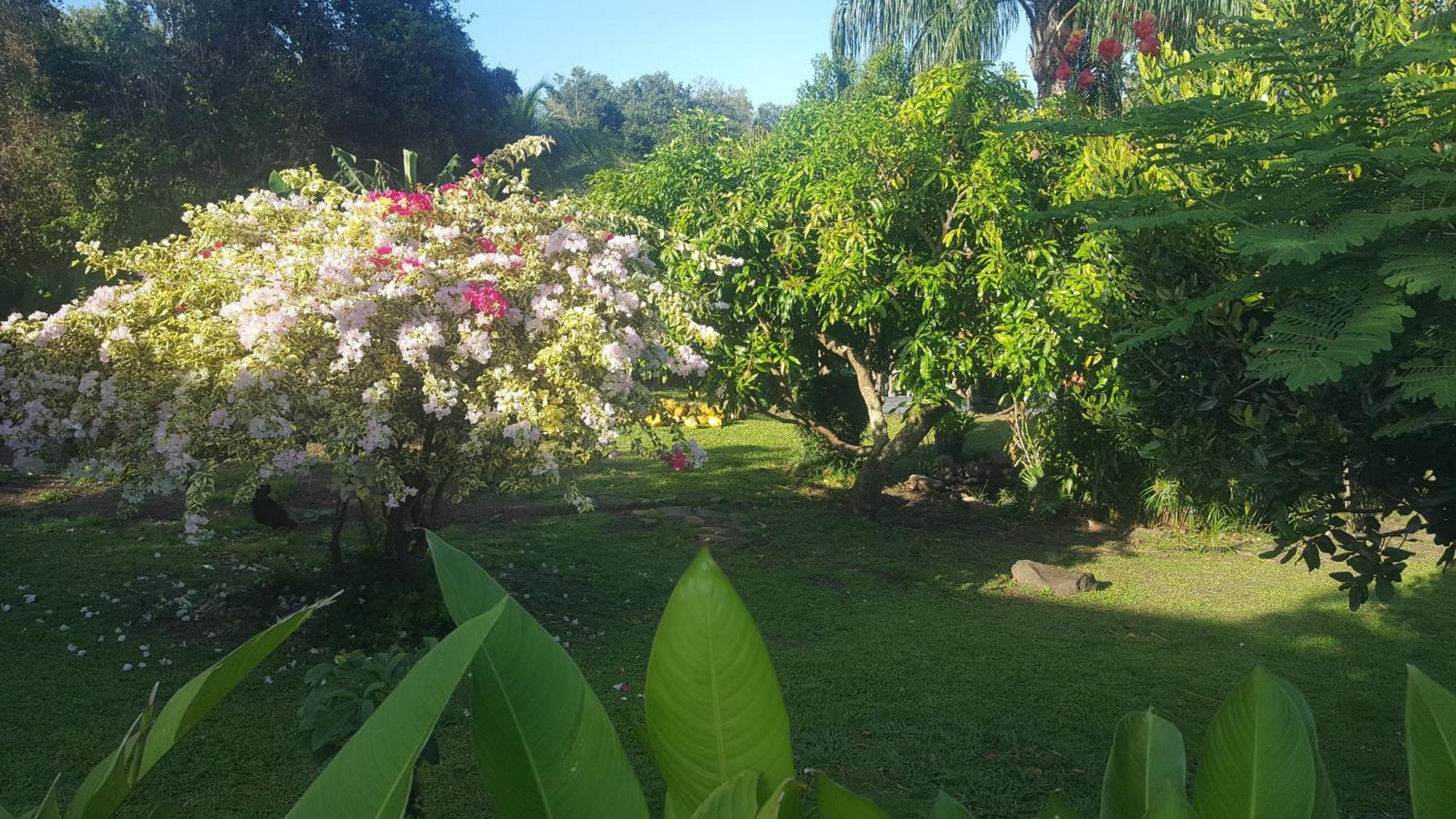 Vacances Bien Etre Guadeloupe Bouillante Exteriér fotografie